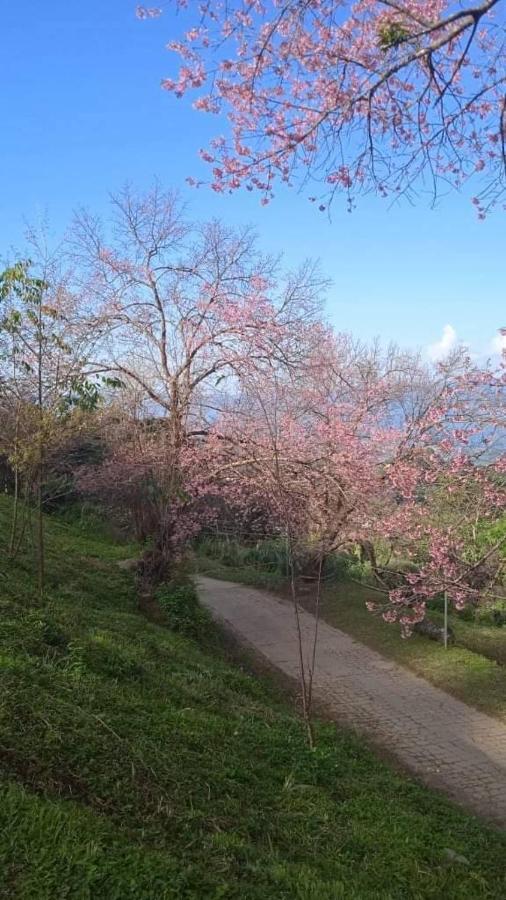 Ban Chomdoi Resort Phatang Ban Pha Tang المظهر الخارجي الصورة