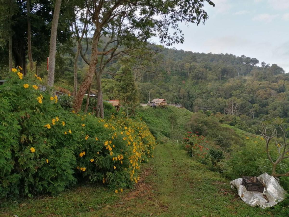 Ban Chomdoi Resort Phatang Ban Pha Tang المظهر الخارجي الصورة