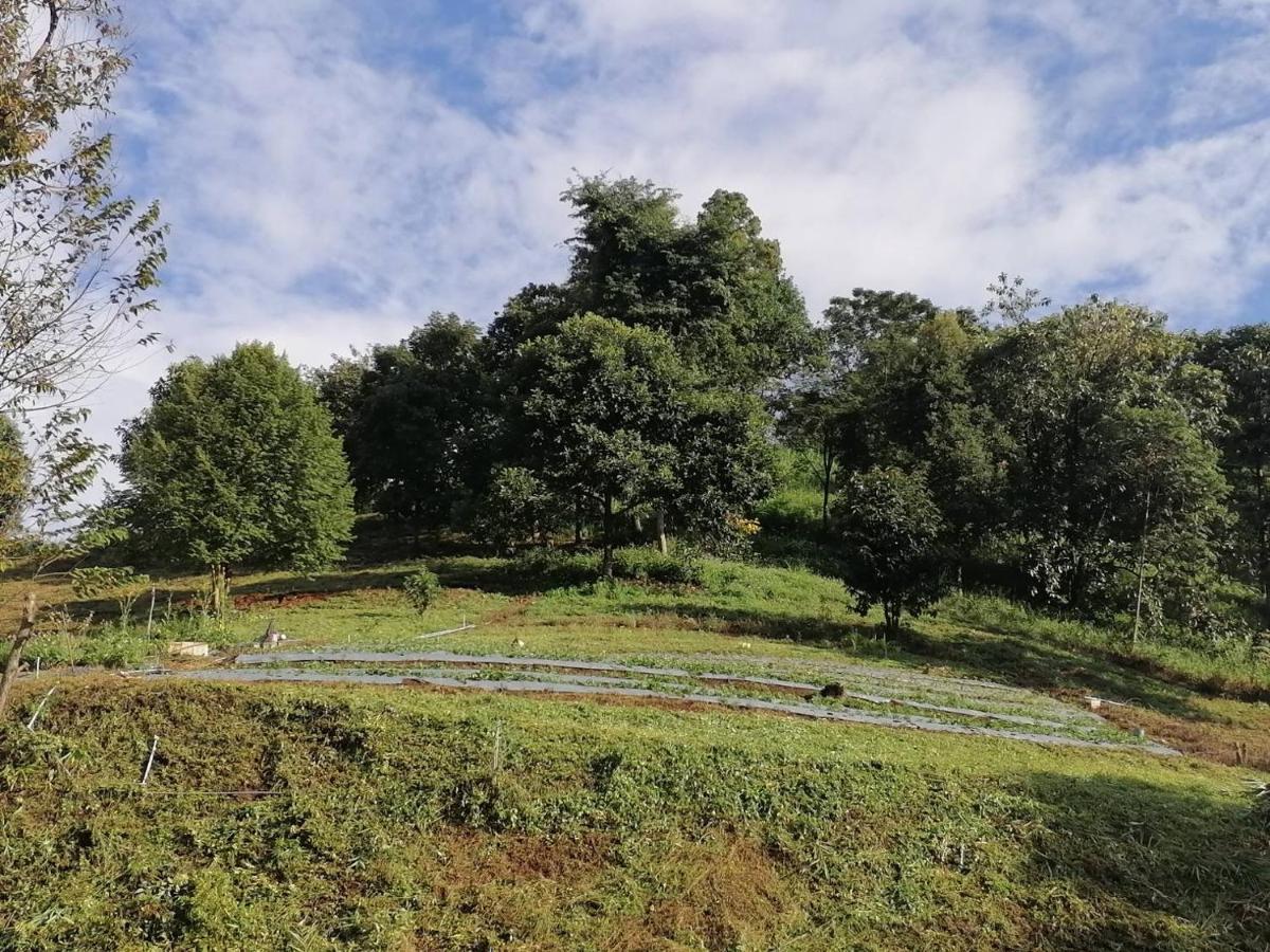 Ban Chomdoi Resort Phatang Ban Pha Tang المظهر الخارجي الصورة